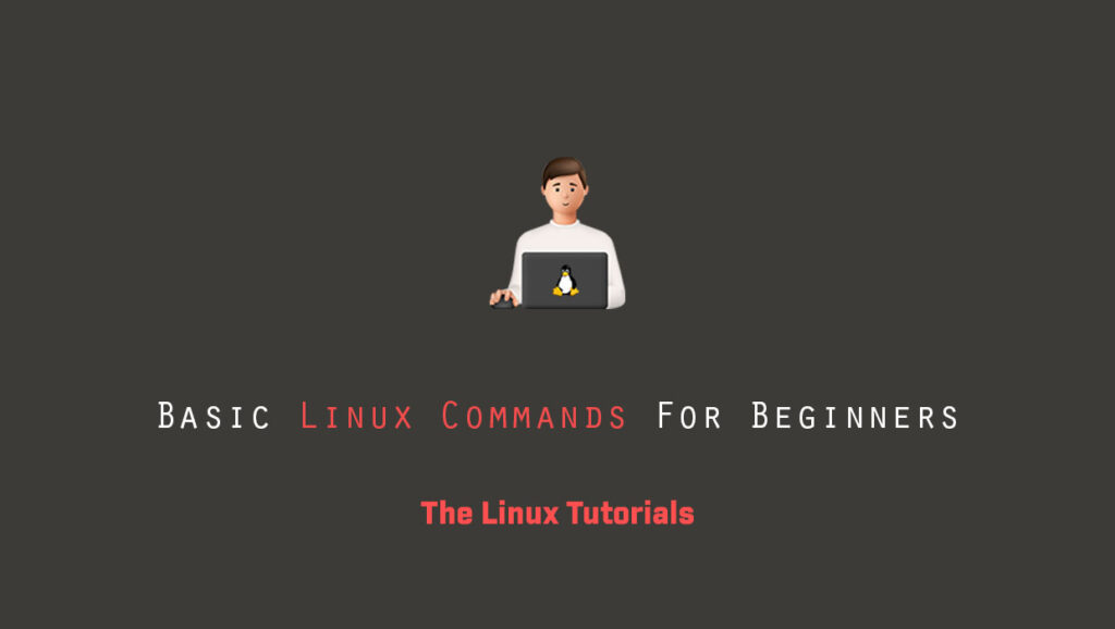 Basic Linux Commands For Beginners - The Linux Tutorials