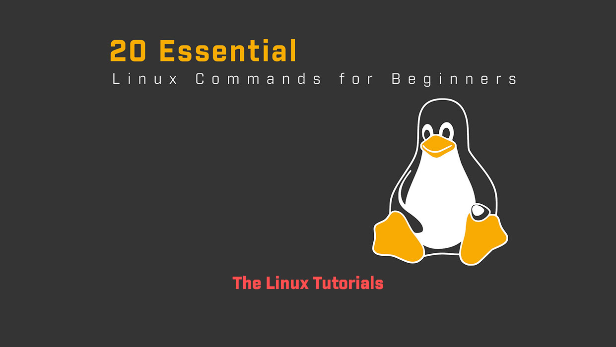 Linux Commands for Beginners