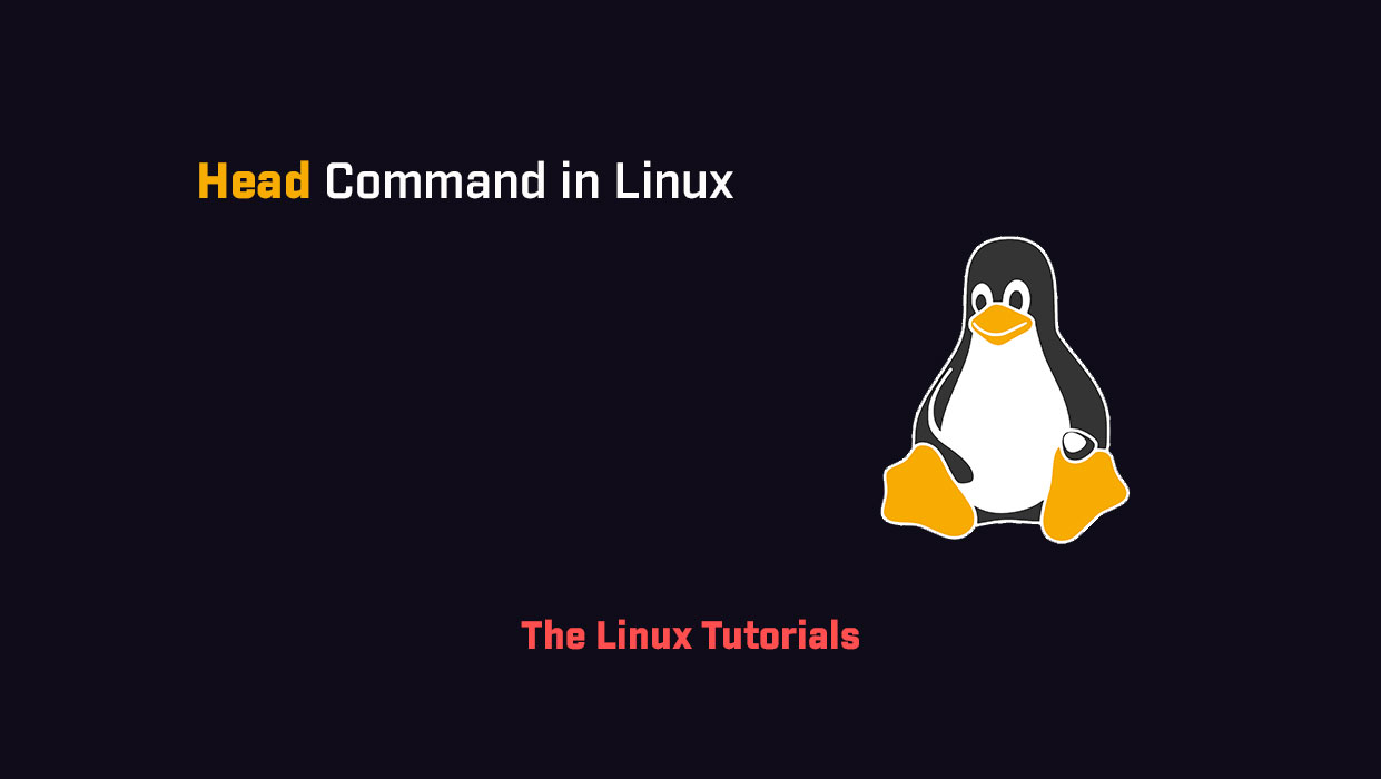head command in Linux