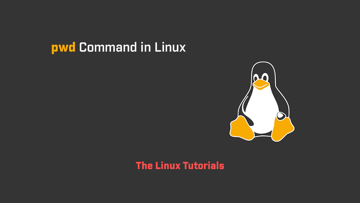 pwd Command in Linux