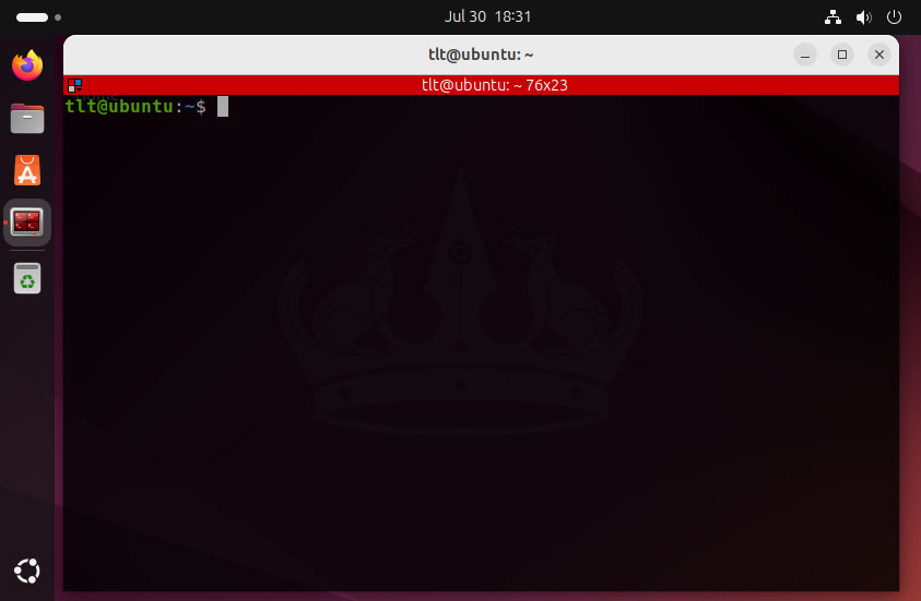 Terminator in Ubuntu 24.04 LTS