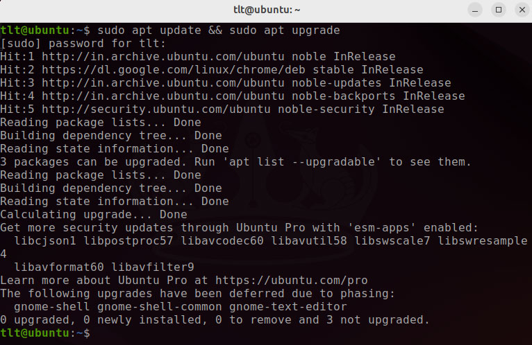 Update Your Ubuntu System